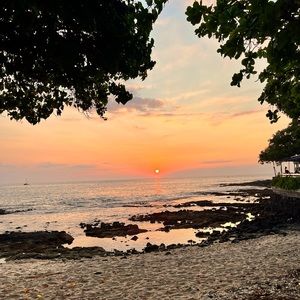 Meet your Posher, Ann